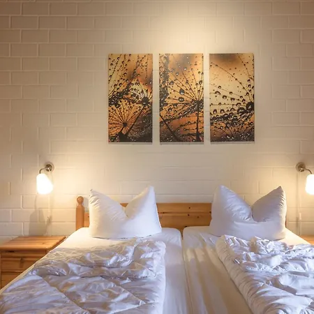 펜션 Moewe 40 미로우